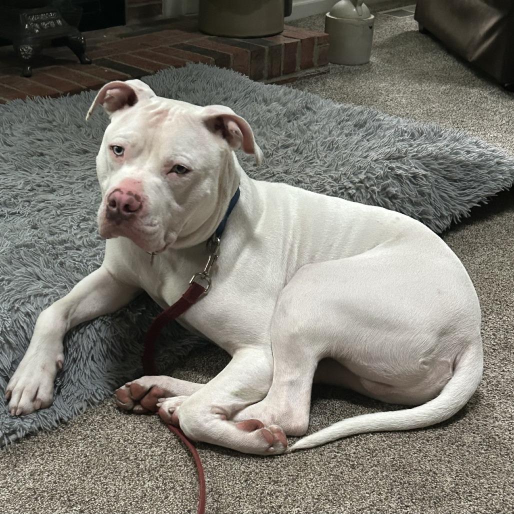 Brad Pitt thumbnail 2