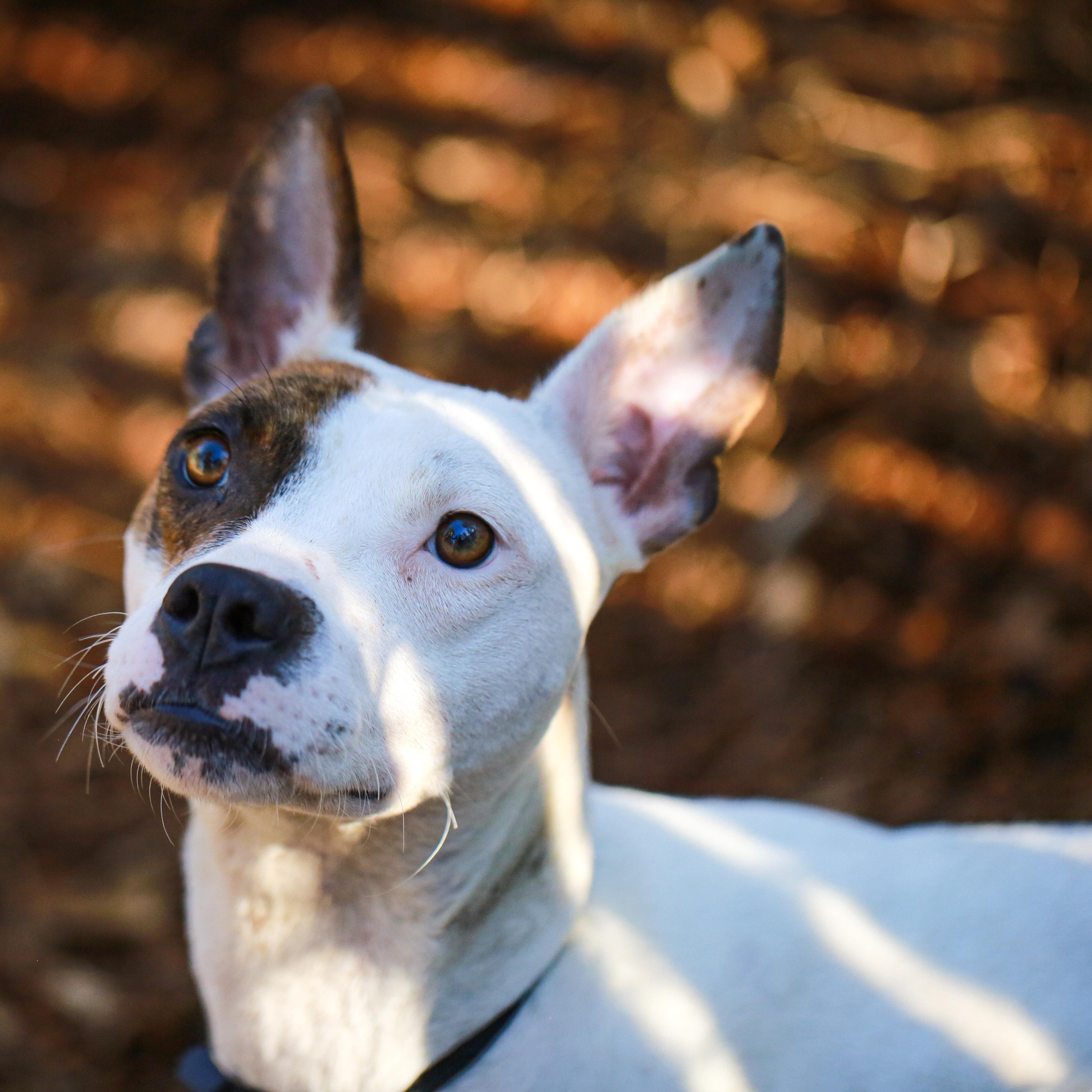 Macy Fast Favorite thumbnail 5