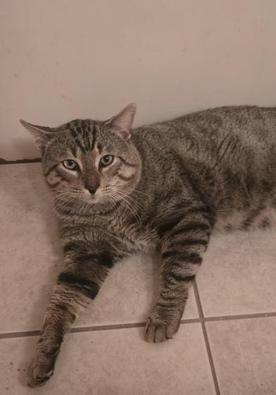 Billy Ray — thumbnail 3