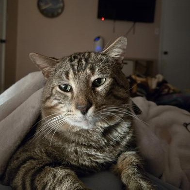 Billy Ray — thumbnail 4