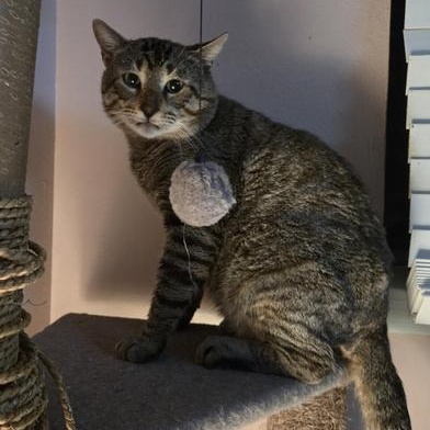 Billy Ray — thumbnail 6