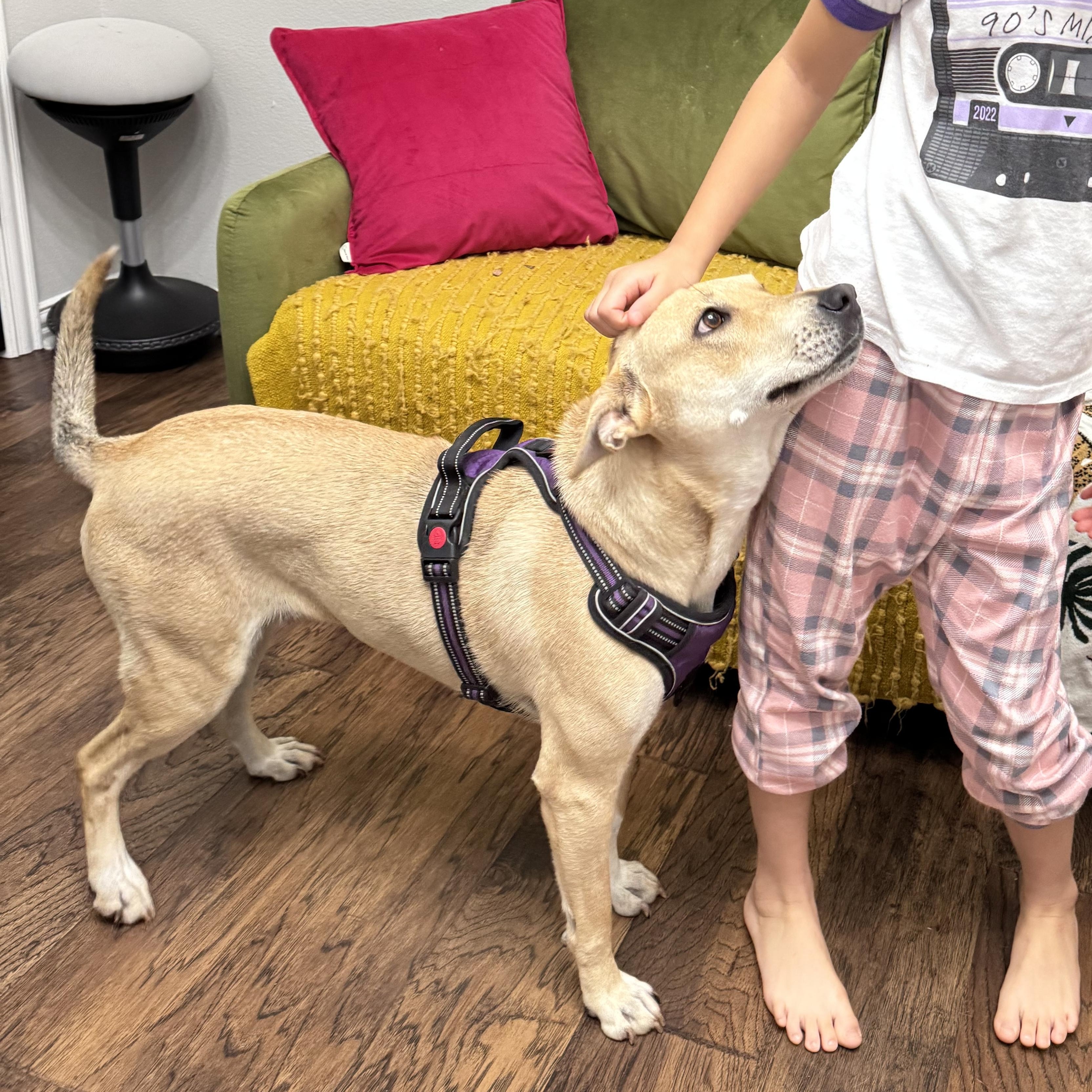 Natalie — thumbnail 5