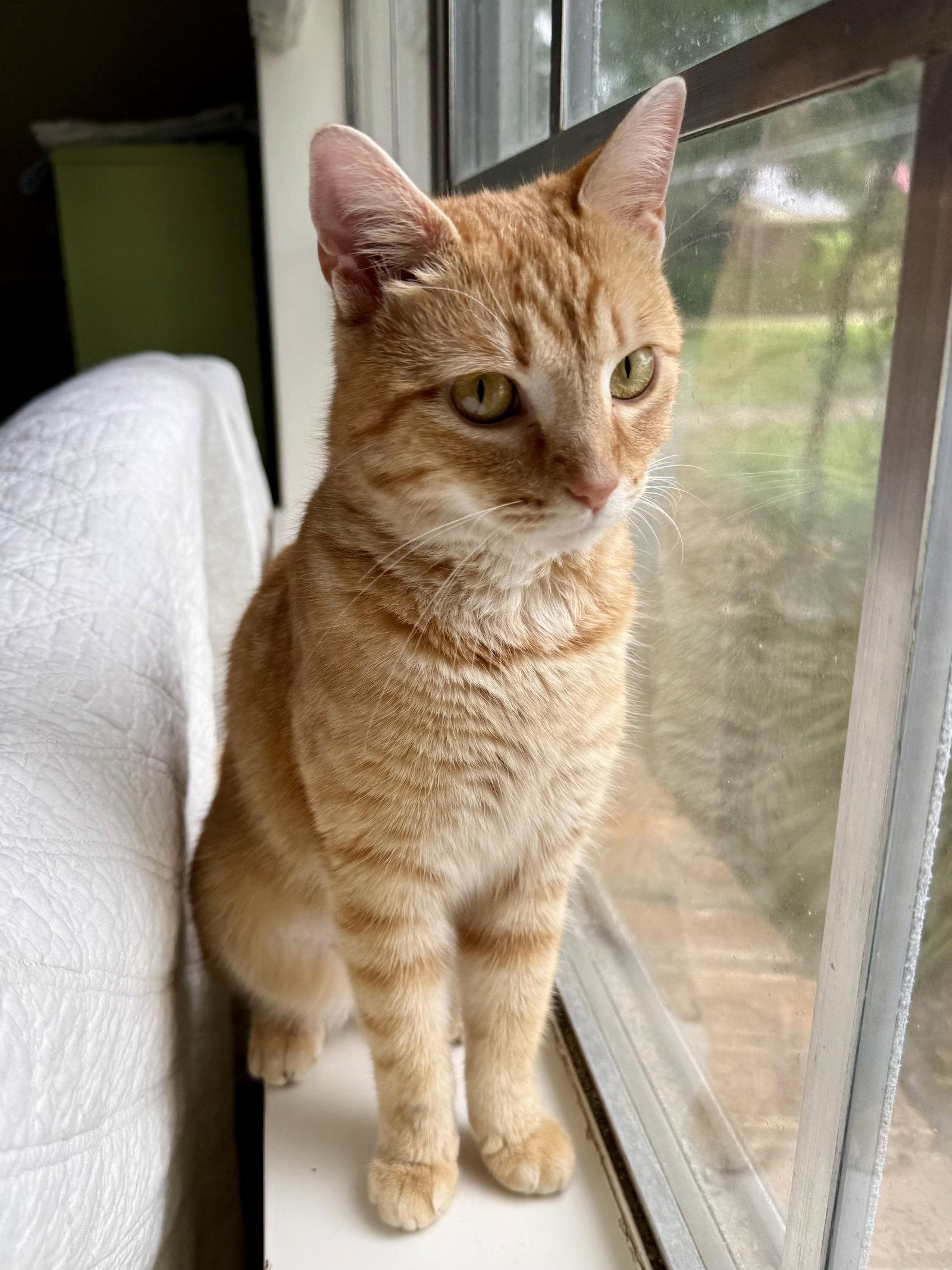 Lilly photo