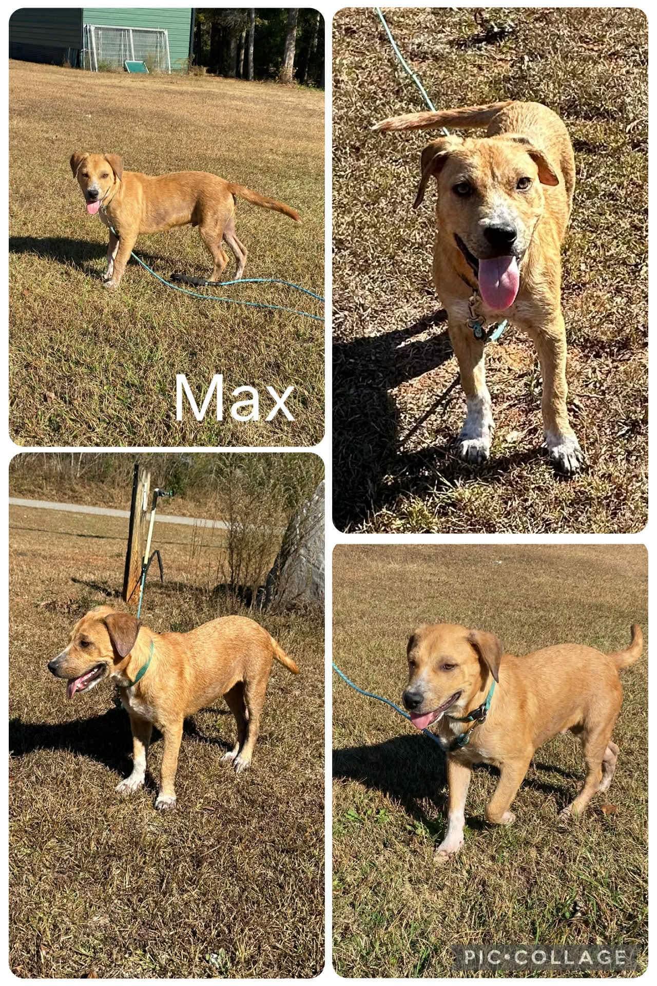 Max