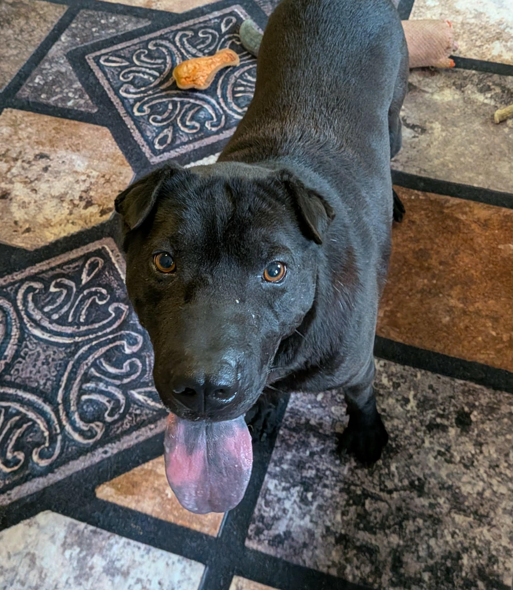 Echo (20260206-05) — thumbnail 5