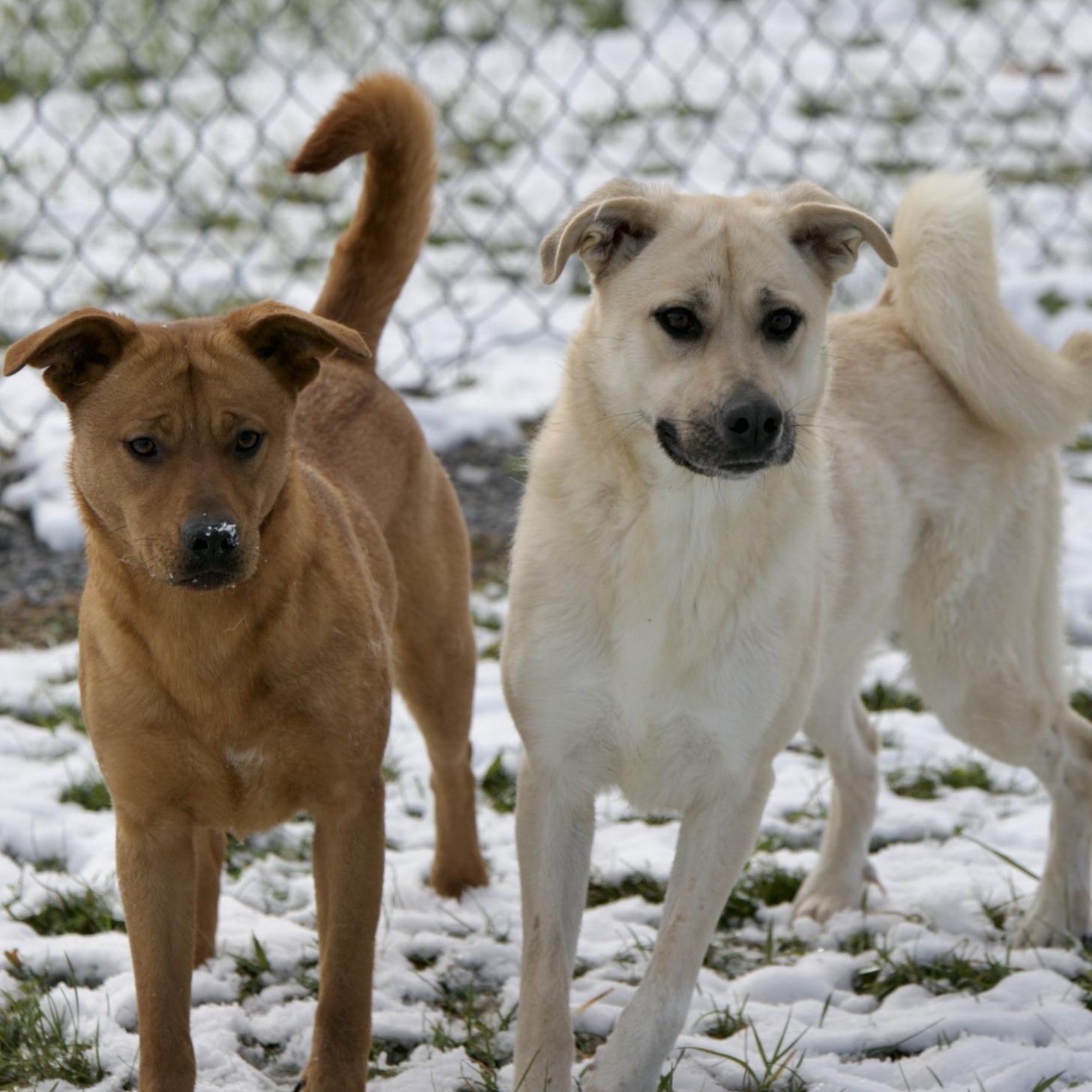 Roxy & Grace thumbnail 2