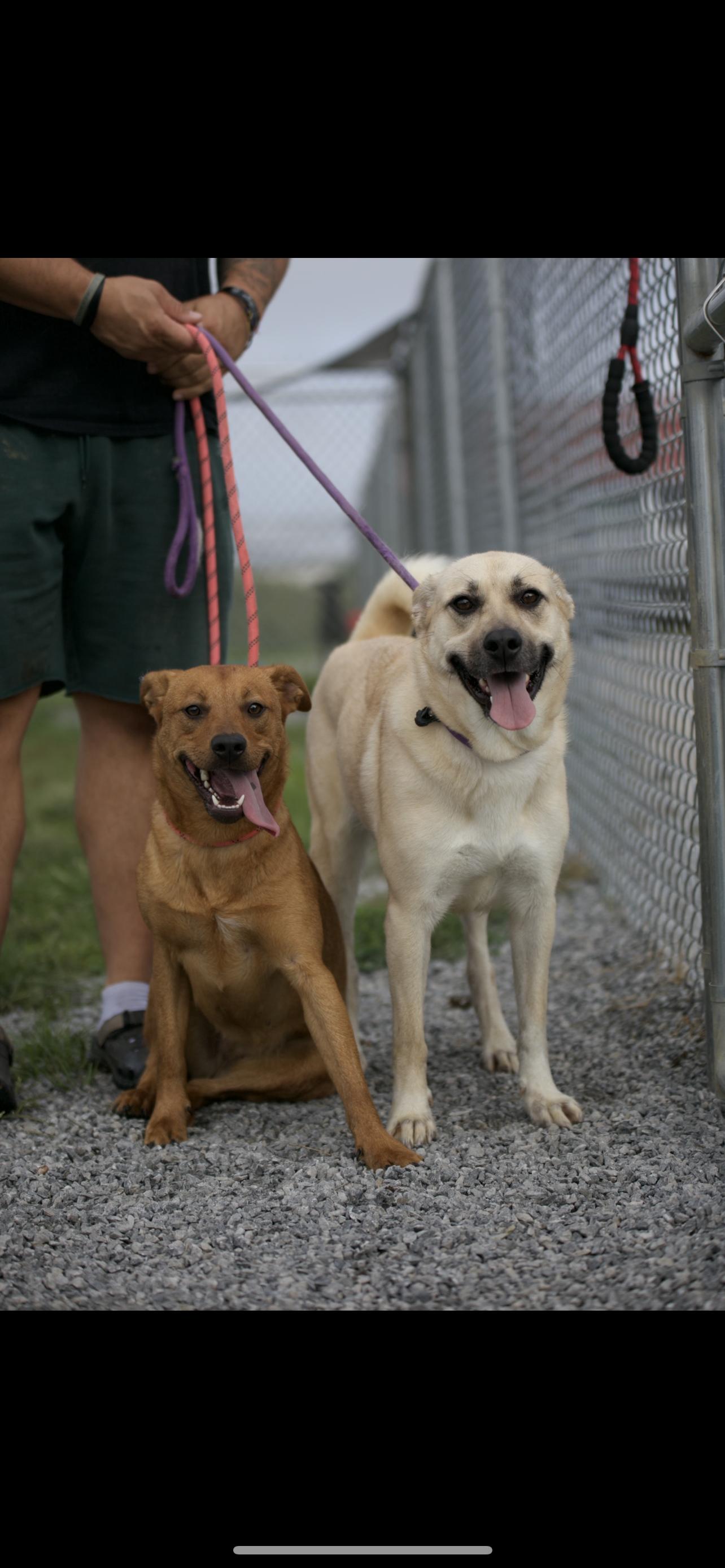 Roxy & Grace