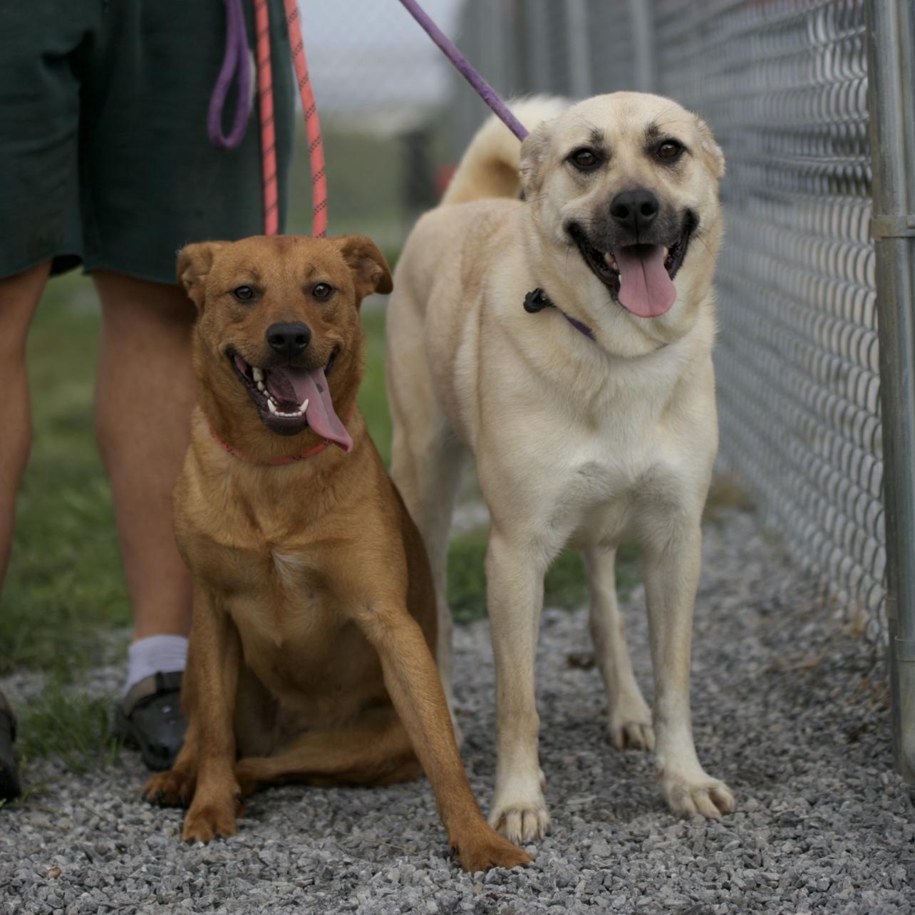 Roxy & Grace thumbnail 3