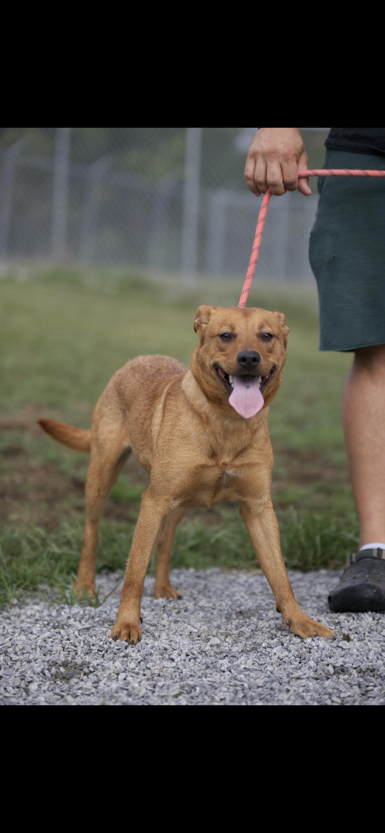 Roxy & Grace thumbnail 2