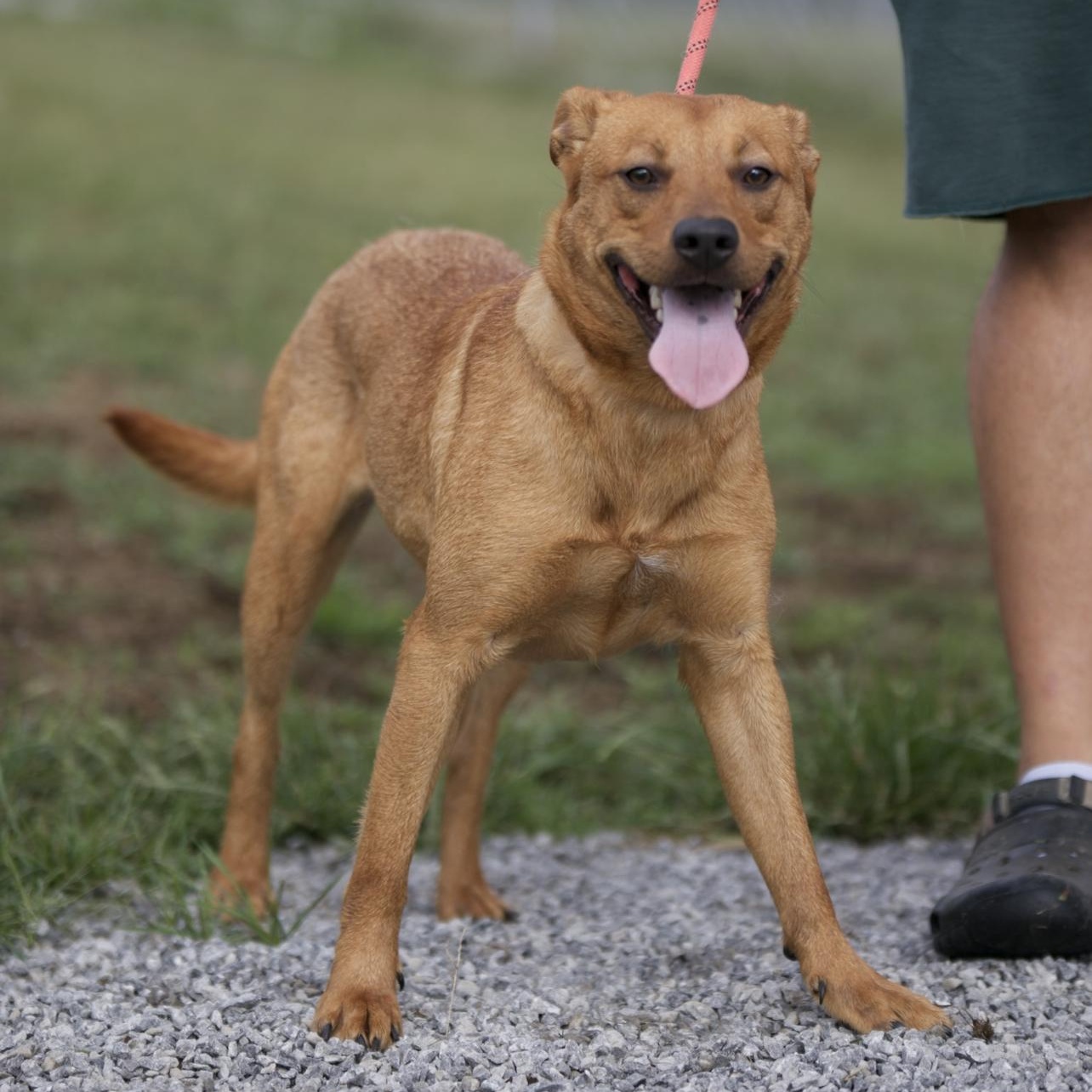 Roxy & Grace thumbnail 4