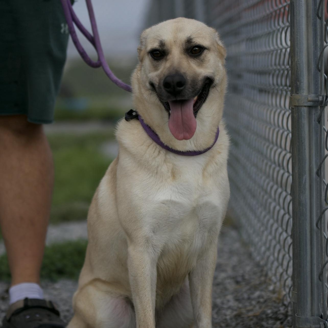 Roxy & Grace thumbnail 5