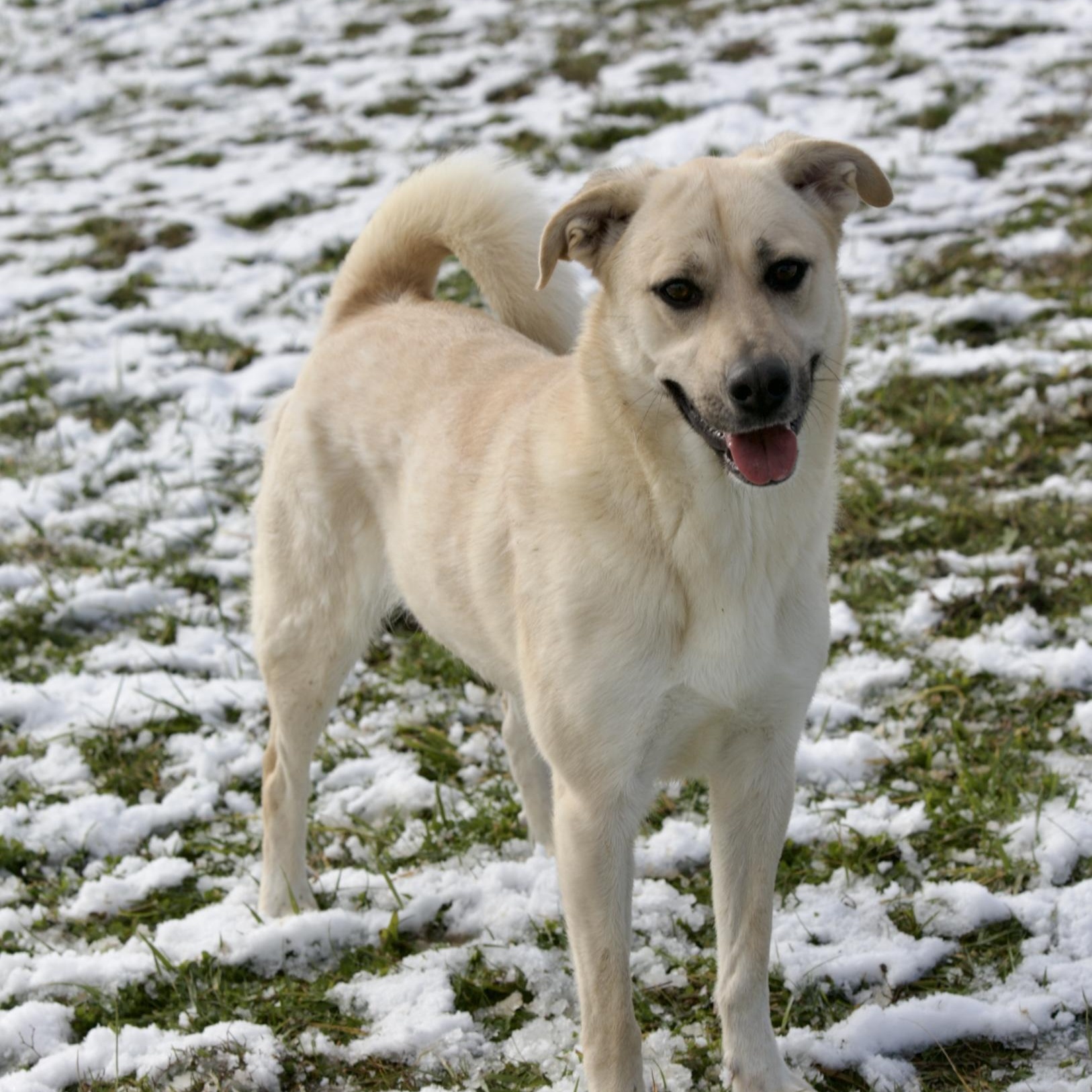 Roxy & Grace thumbnail 6