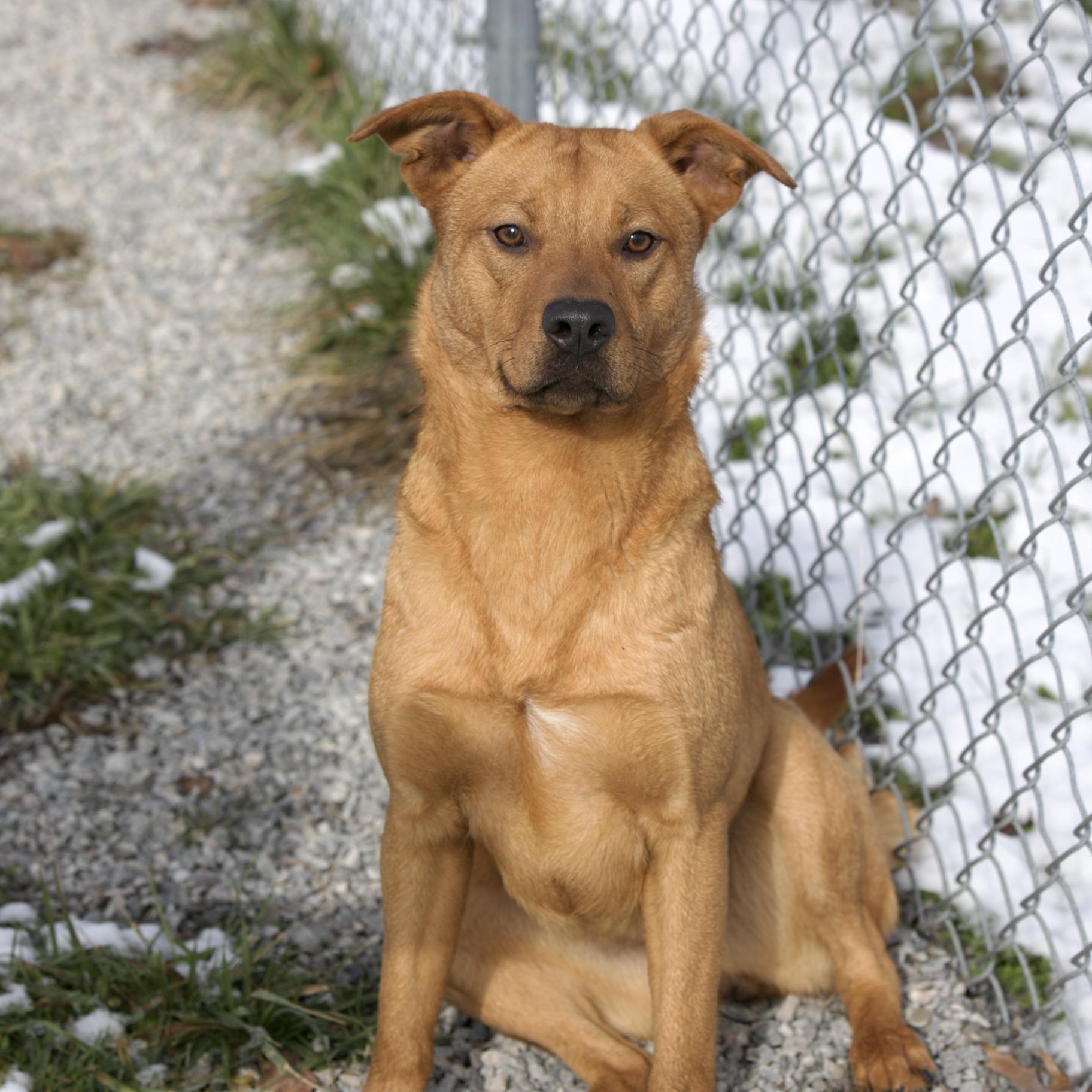 Roxy & Grace thumbnail 7