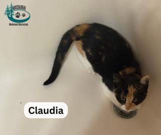 Claudia!