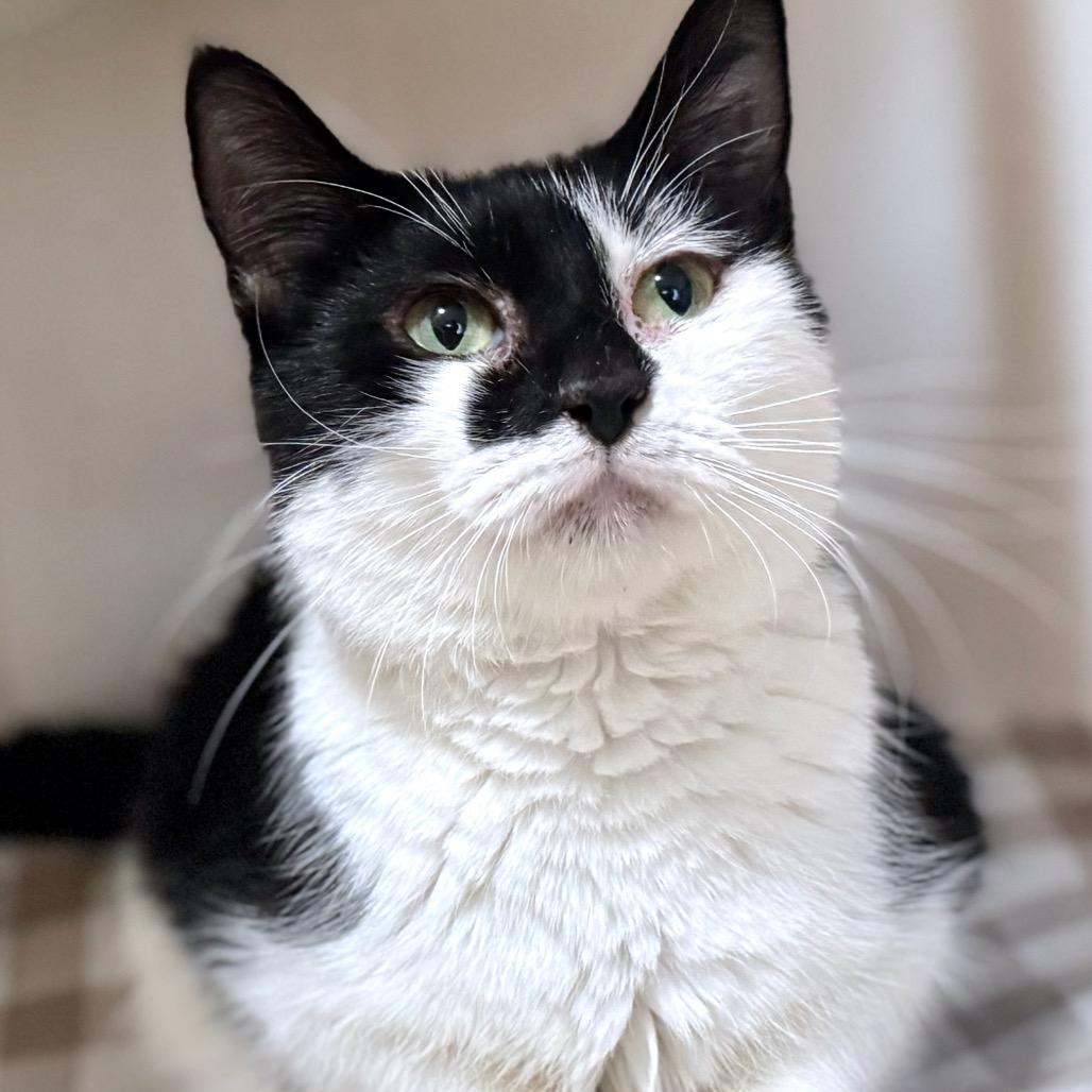 Milkdud — thumbnail 6