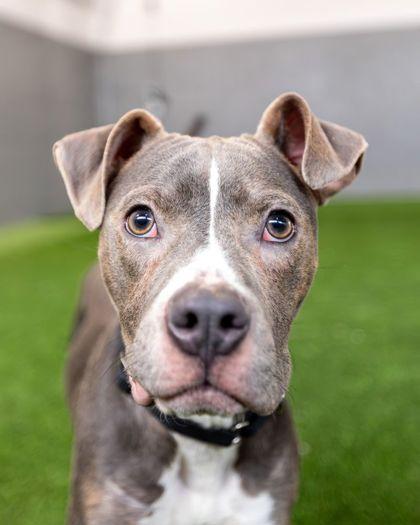 Isaac — thumbnail 2