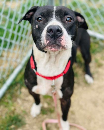 Fernando — thumbnail 2