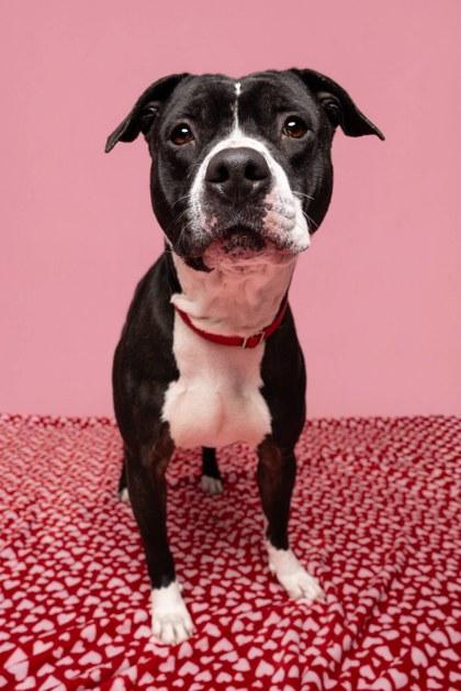 Fernando — thumbnail 3