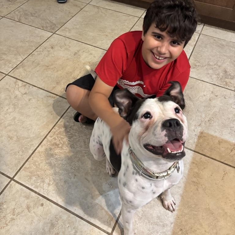 Enlarge Dixie (goofy, funny, smart, and sweet), a Adoptable mixed breed in Grand Rapids, MI image 1/5