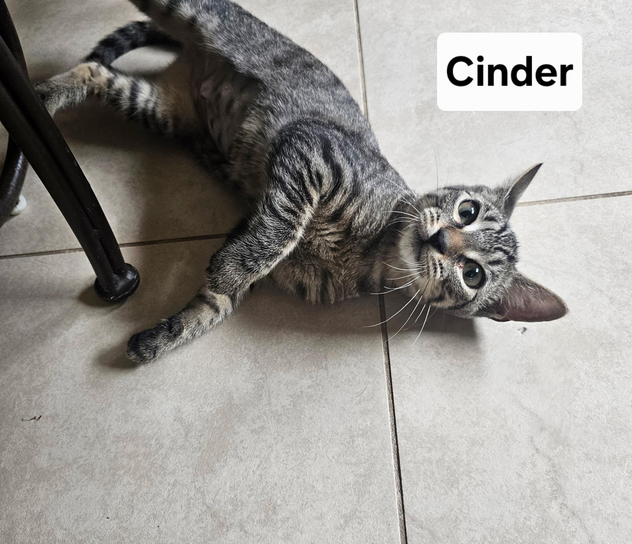 Cinder