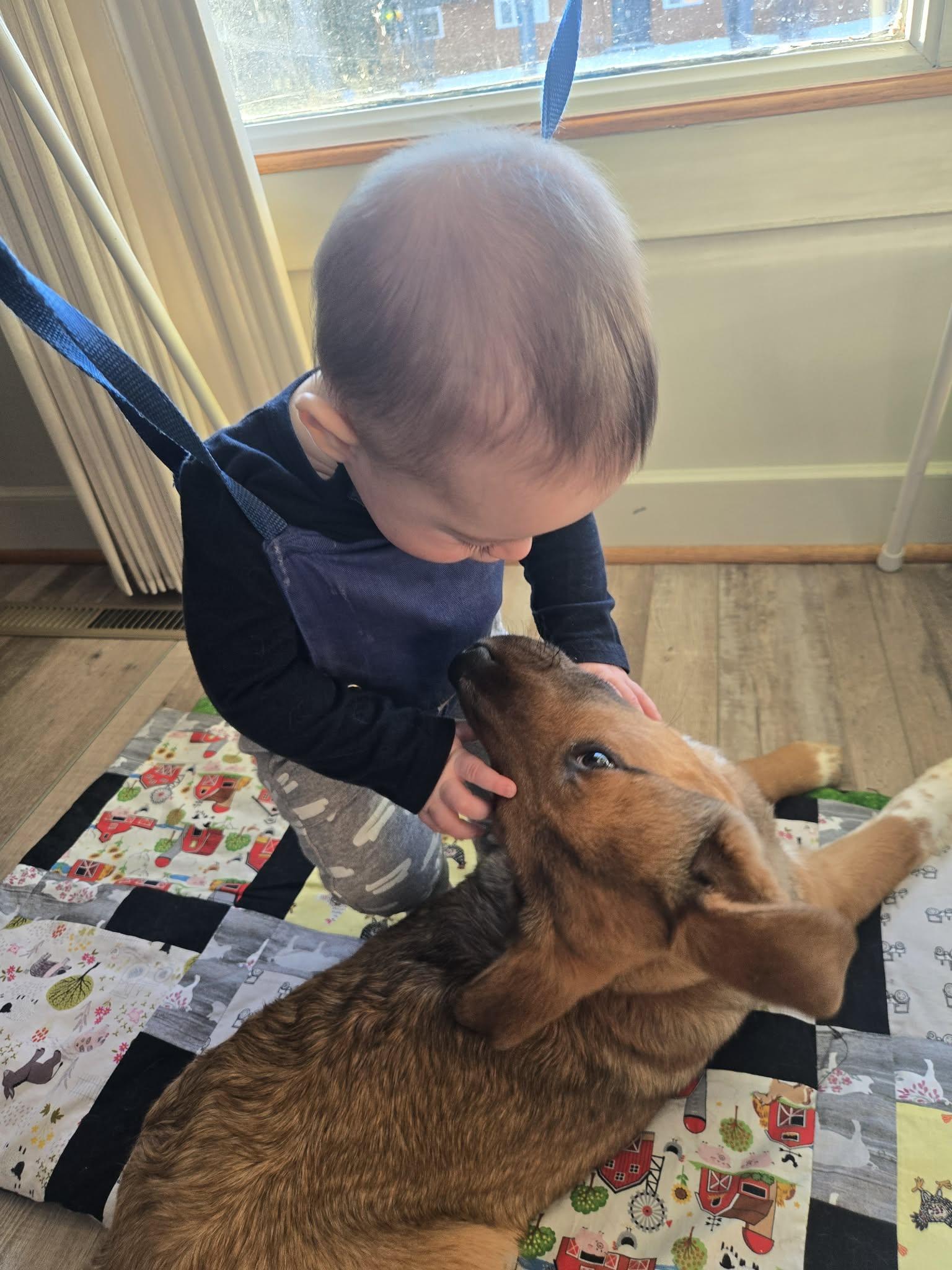 Winnie, an adopted mixed breed in Saskatoon, SK image 5/6