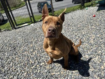 Rubiks — thumbnail 3