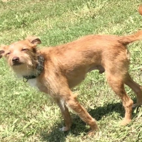 Stitch — thumbnail 3