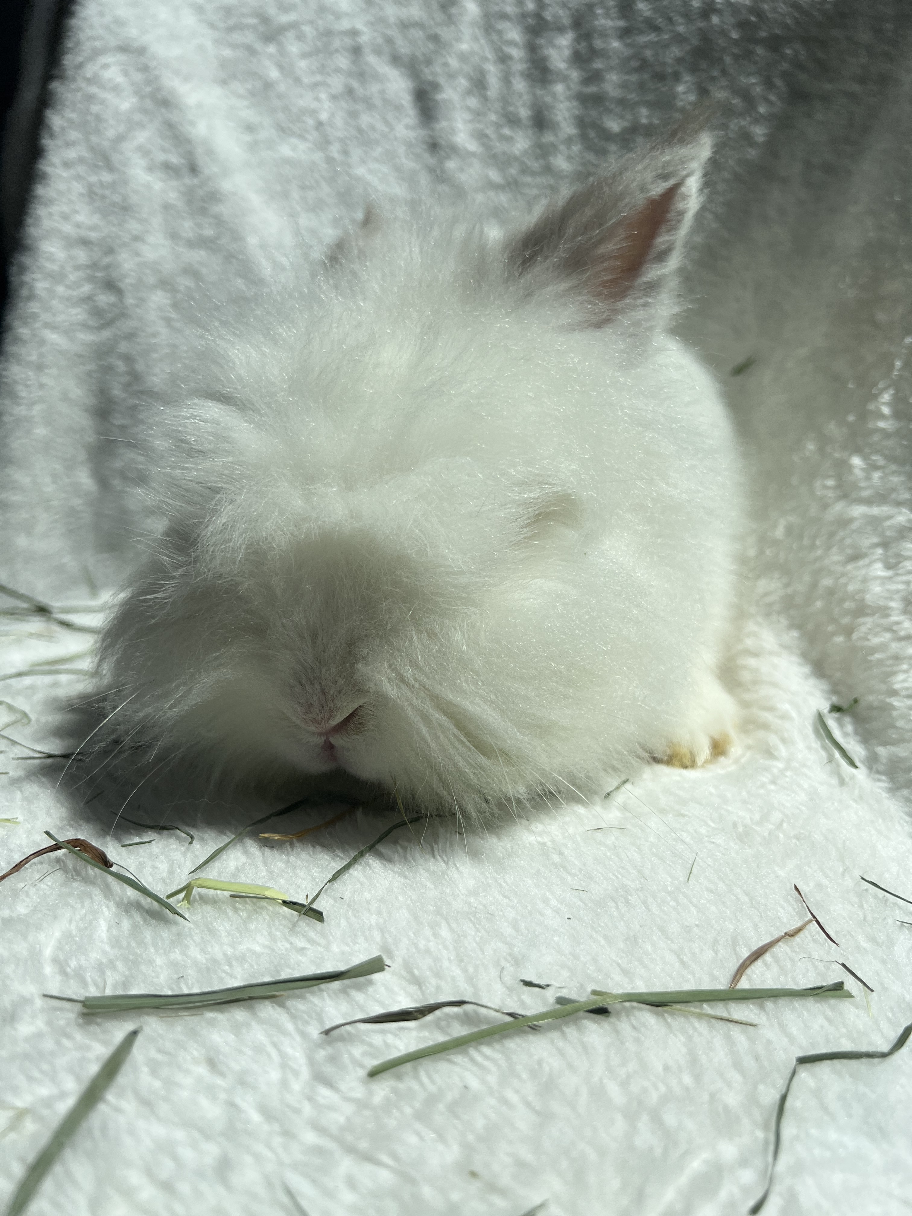 Abigail photo 2