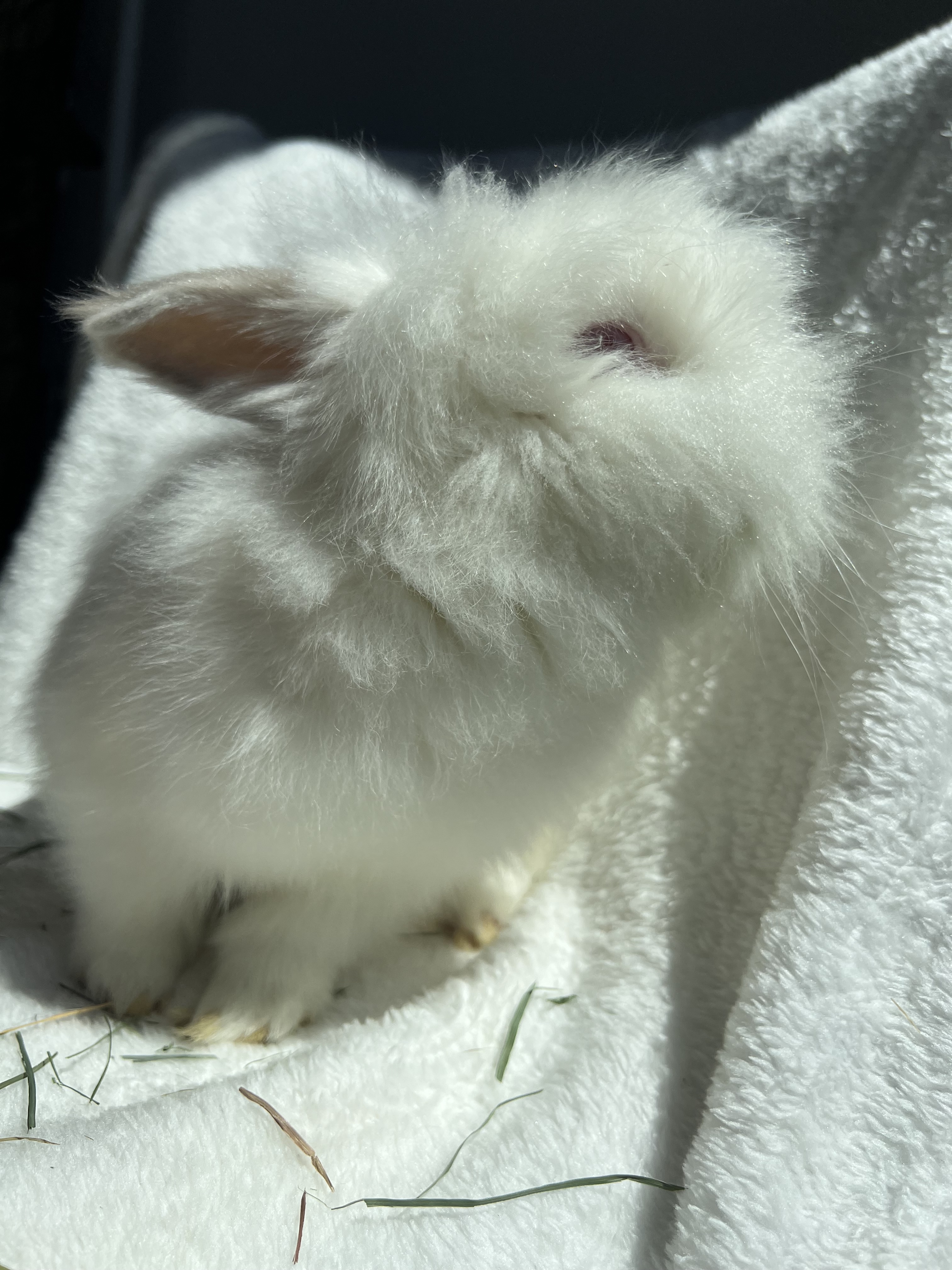 Abigail photo 1