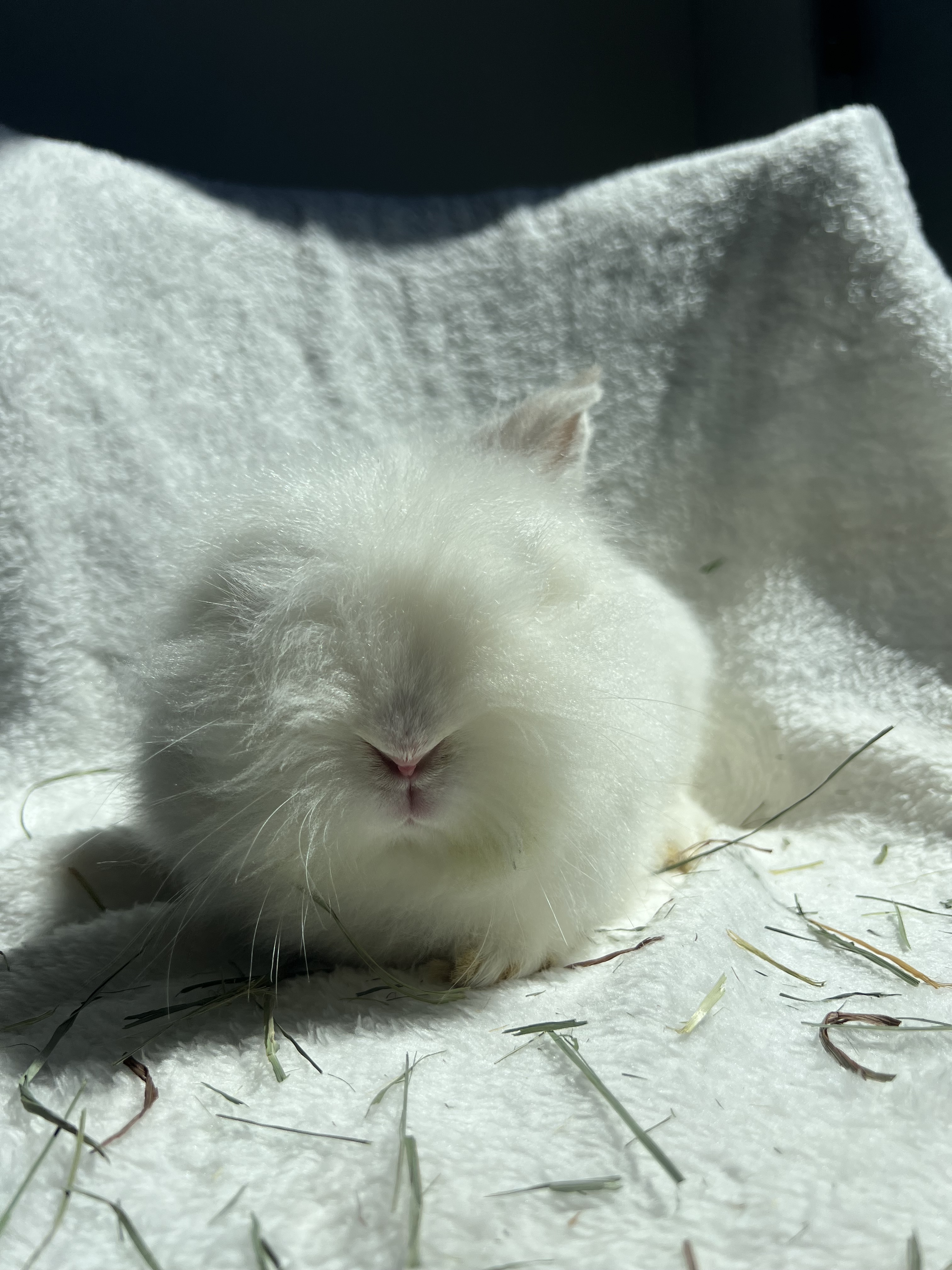 Abigail photo 4