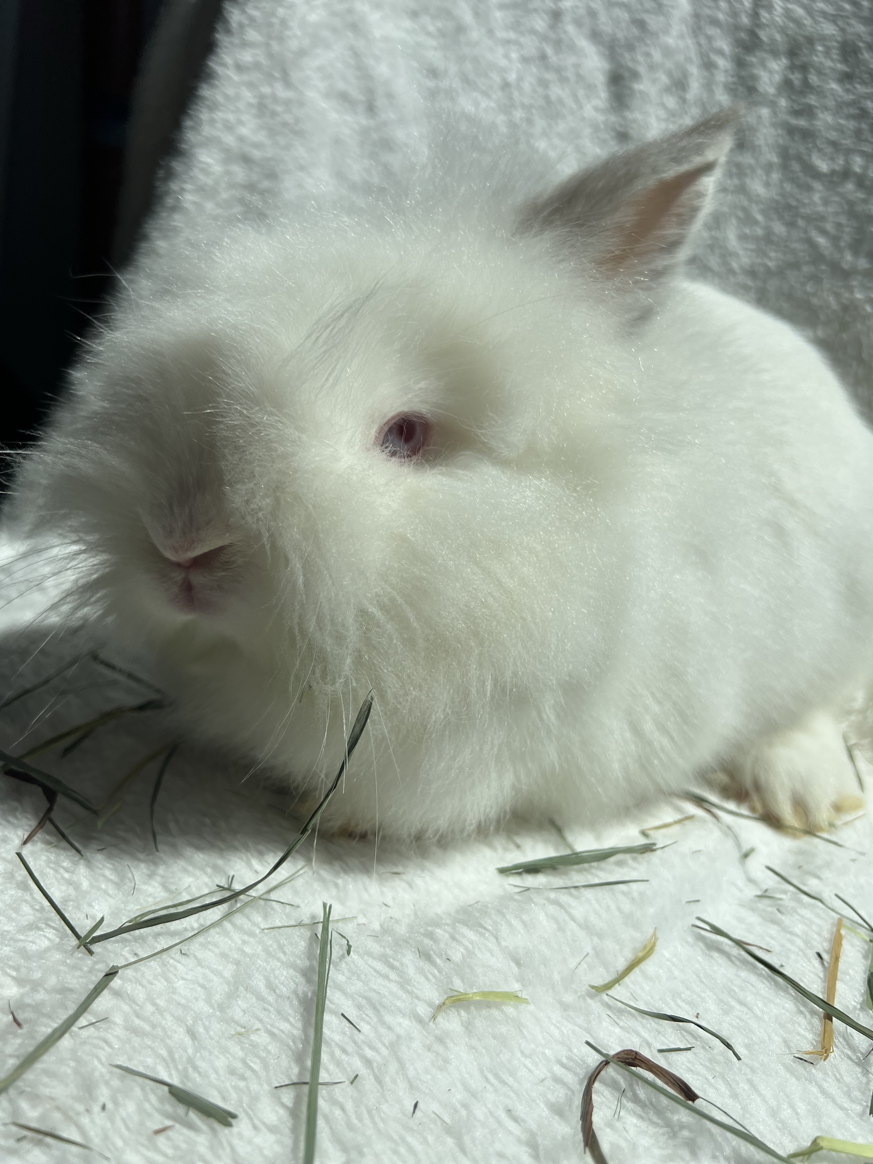 Abigail photo 3
