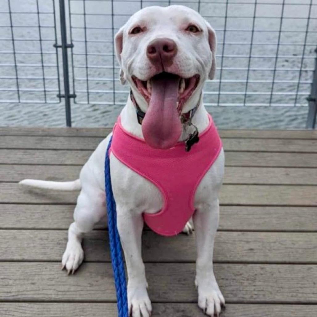 Aurora — thumbnail 2