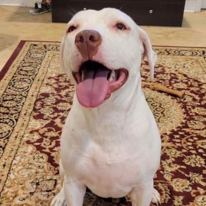 Aurora — thumbnail 3