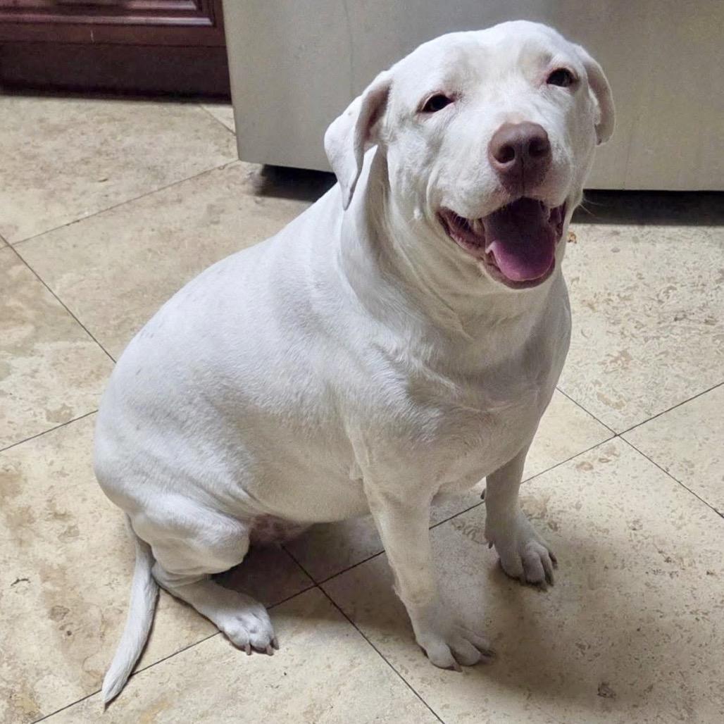 Aurora — thumbnail 4