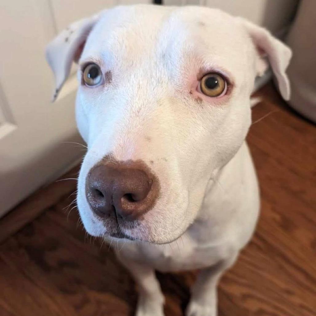 Aurora — thumbnail 5