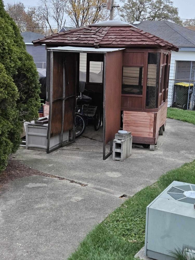 Maui, a Adoptable Domestic Short Hair in Chicago, IL image 4/6