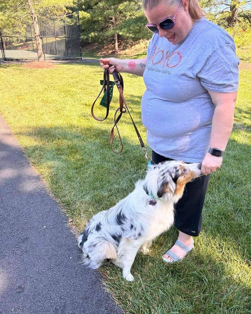 Enlarge Cashew, a Adoptable Australian Shepherd in Ontario, CA image 4/5