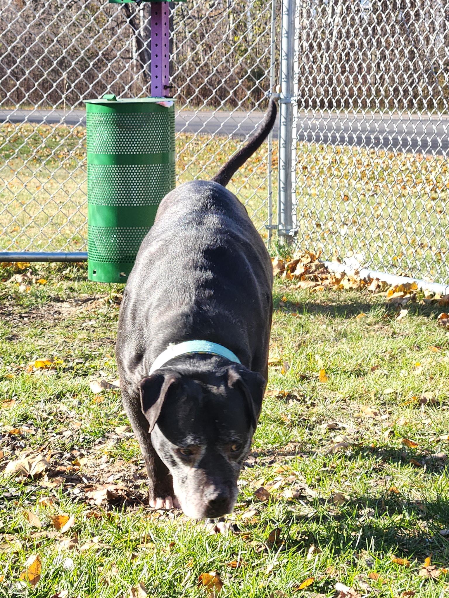 D.b. Cooper thumbnail 2