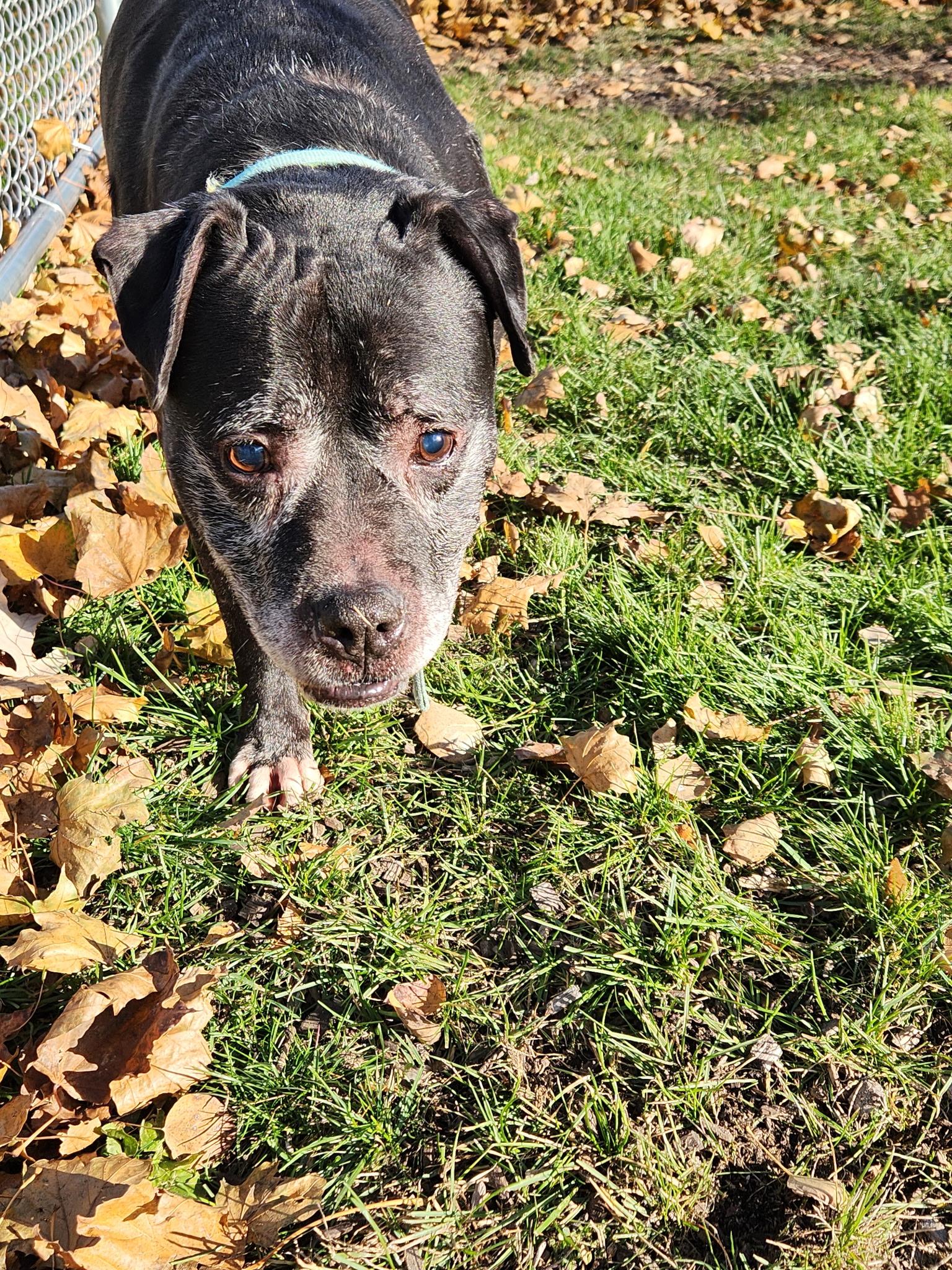 D.b. Cooper thumbnail 3