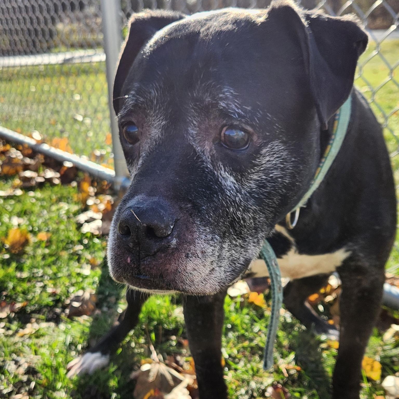 D.b. Cooper thumbnail 4