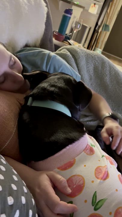 Enlarge Minnow, a ADOPTABLE mixed breed in Portland, OR video 6/6