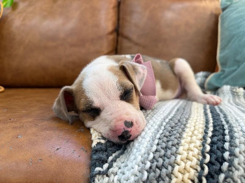 Ash Baby doll — thumbnail 4