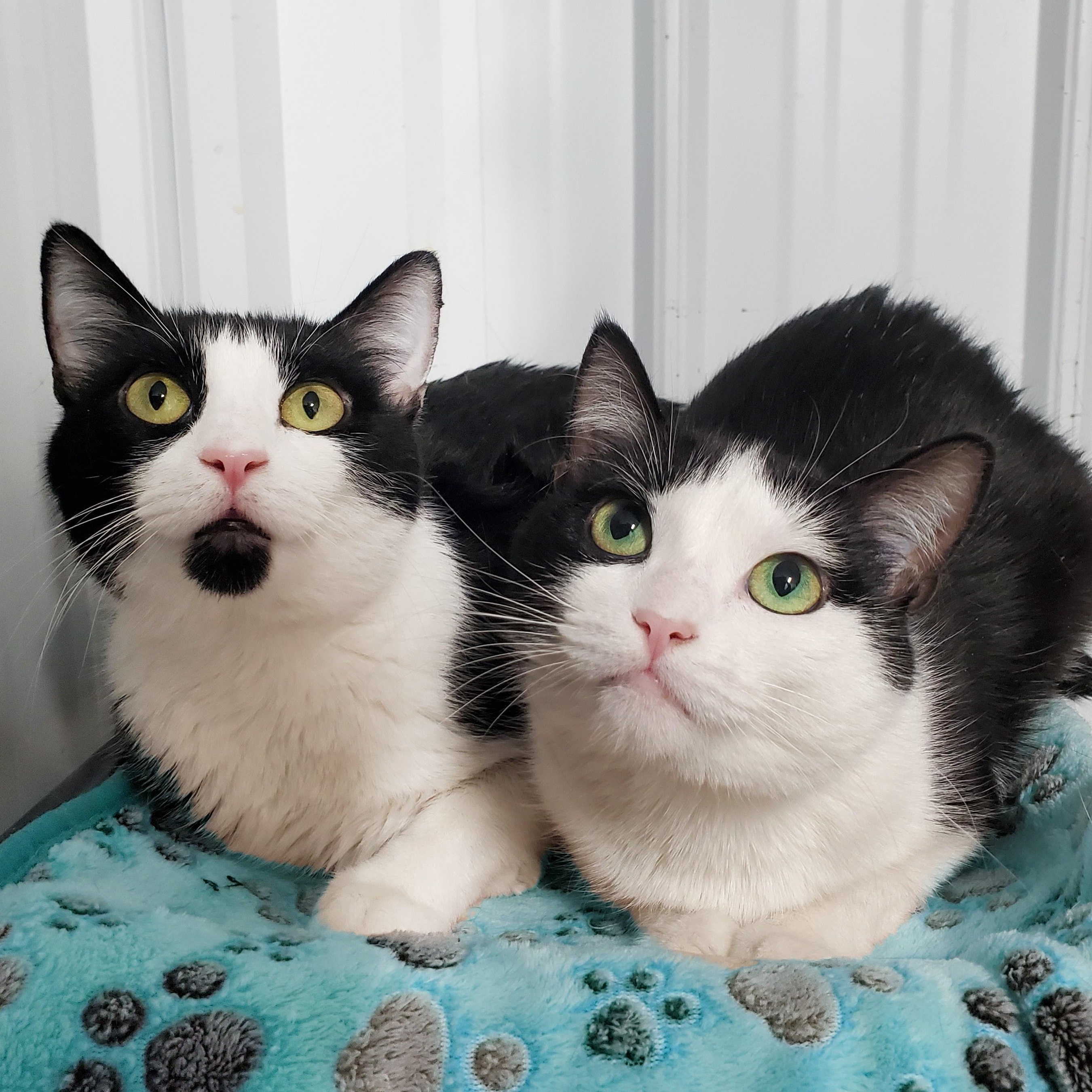 June & Joni