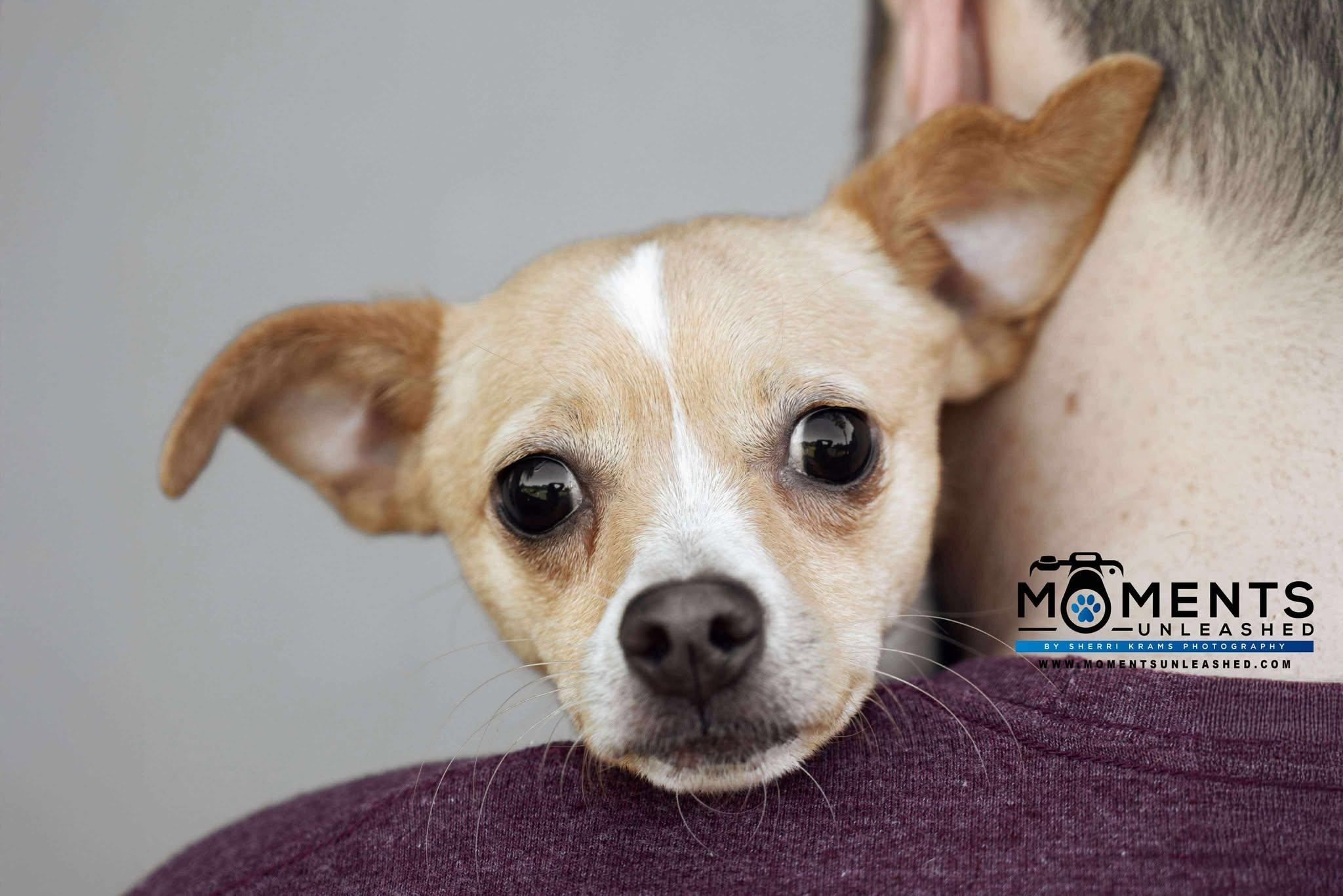 Peanut Butter (IN FOSTER)