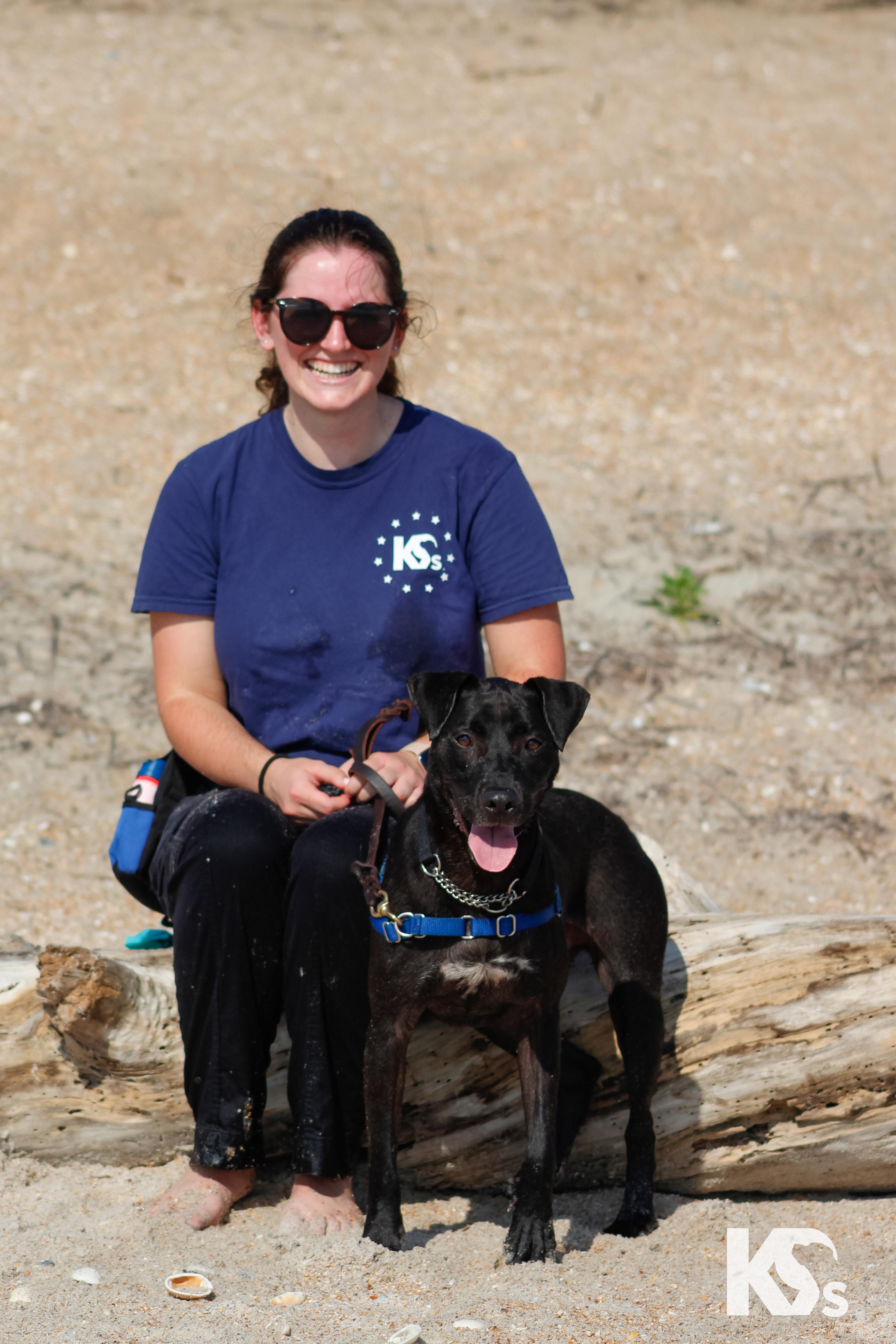 Mort, a Adoptable mixed breed in Ponte Vedra, FL image 5/6
