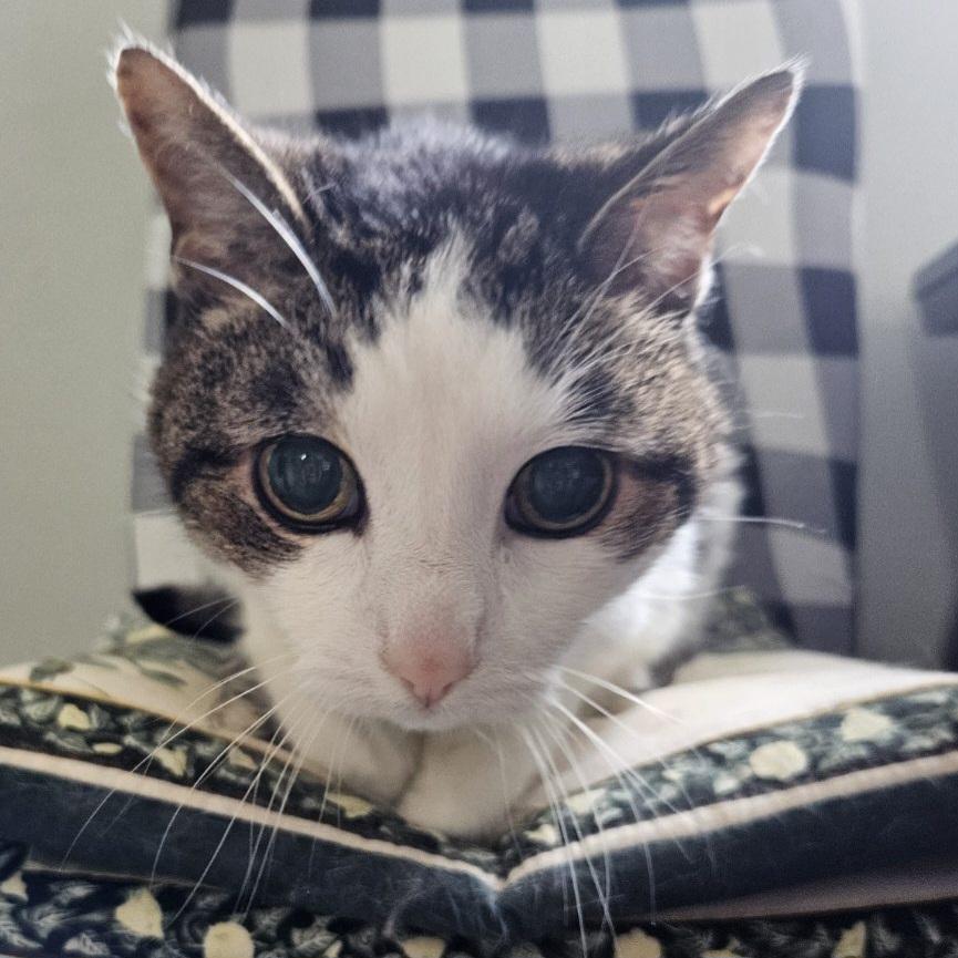 Maxine 18 yrs