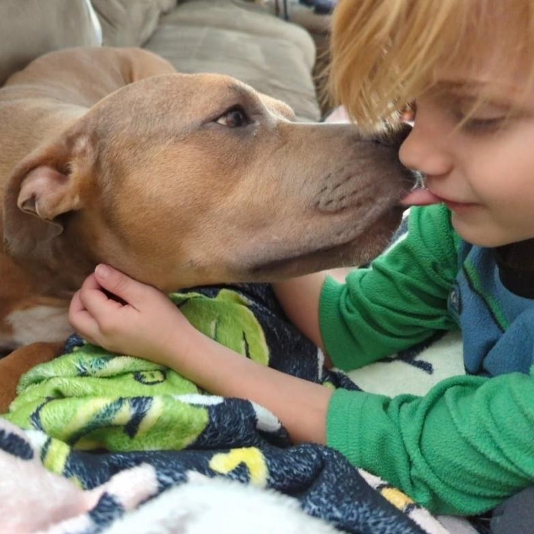 Enlarge Daffodil, a Adoptable mixed breed in Colonial Heights, VA image 1/4