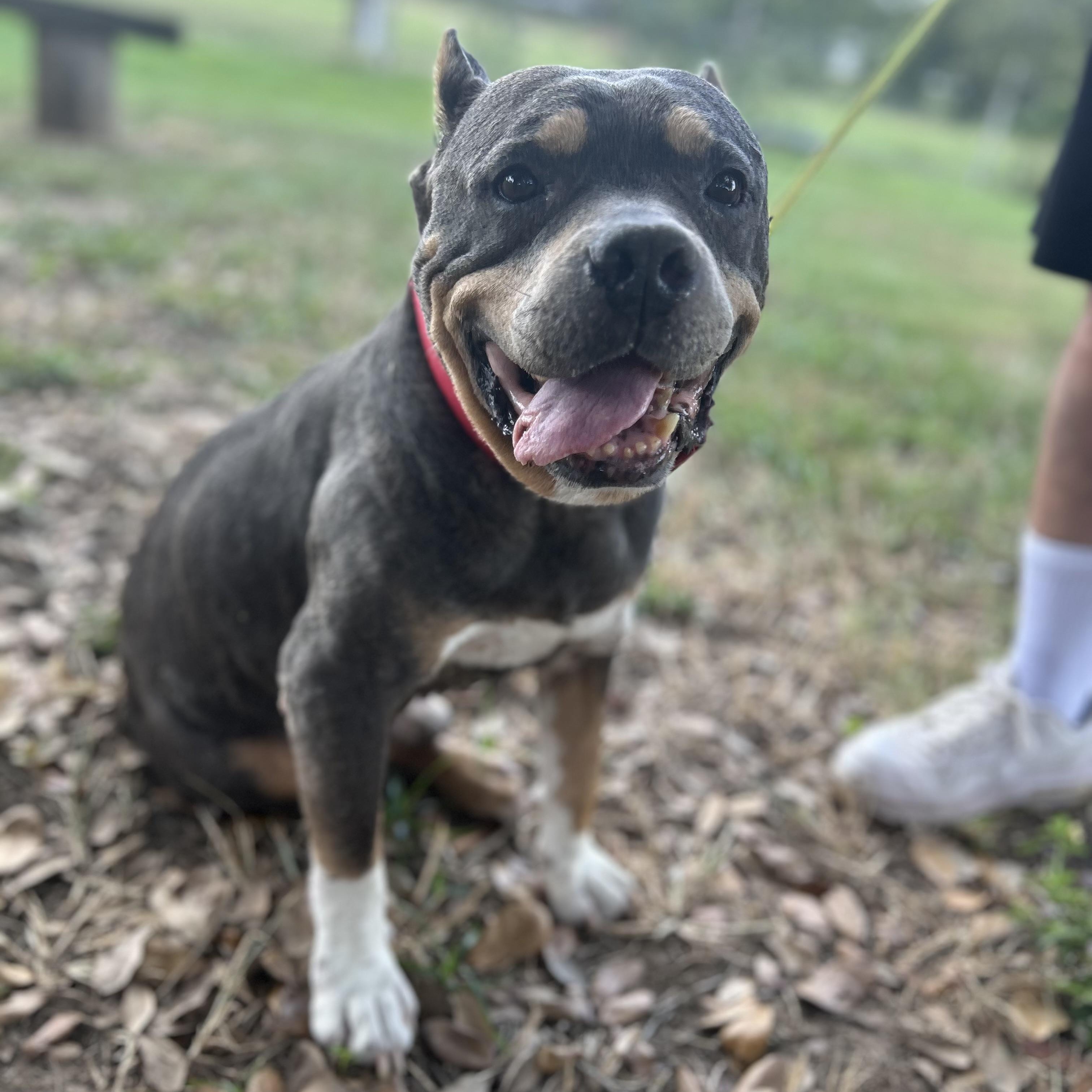 Meet Bruno Mars – Our “24K Magic” Senior Star