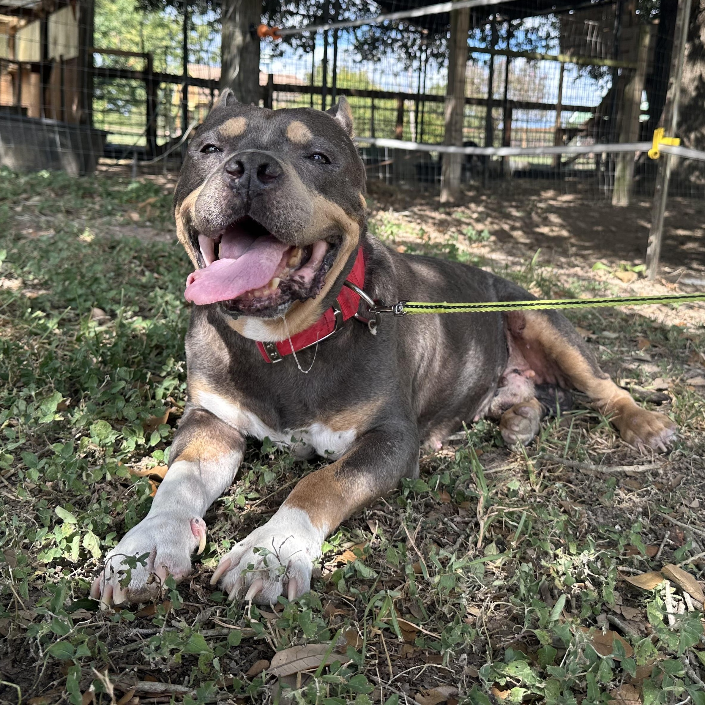 Meet Bruno Mars – Our “24K Magic” Senior Star