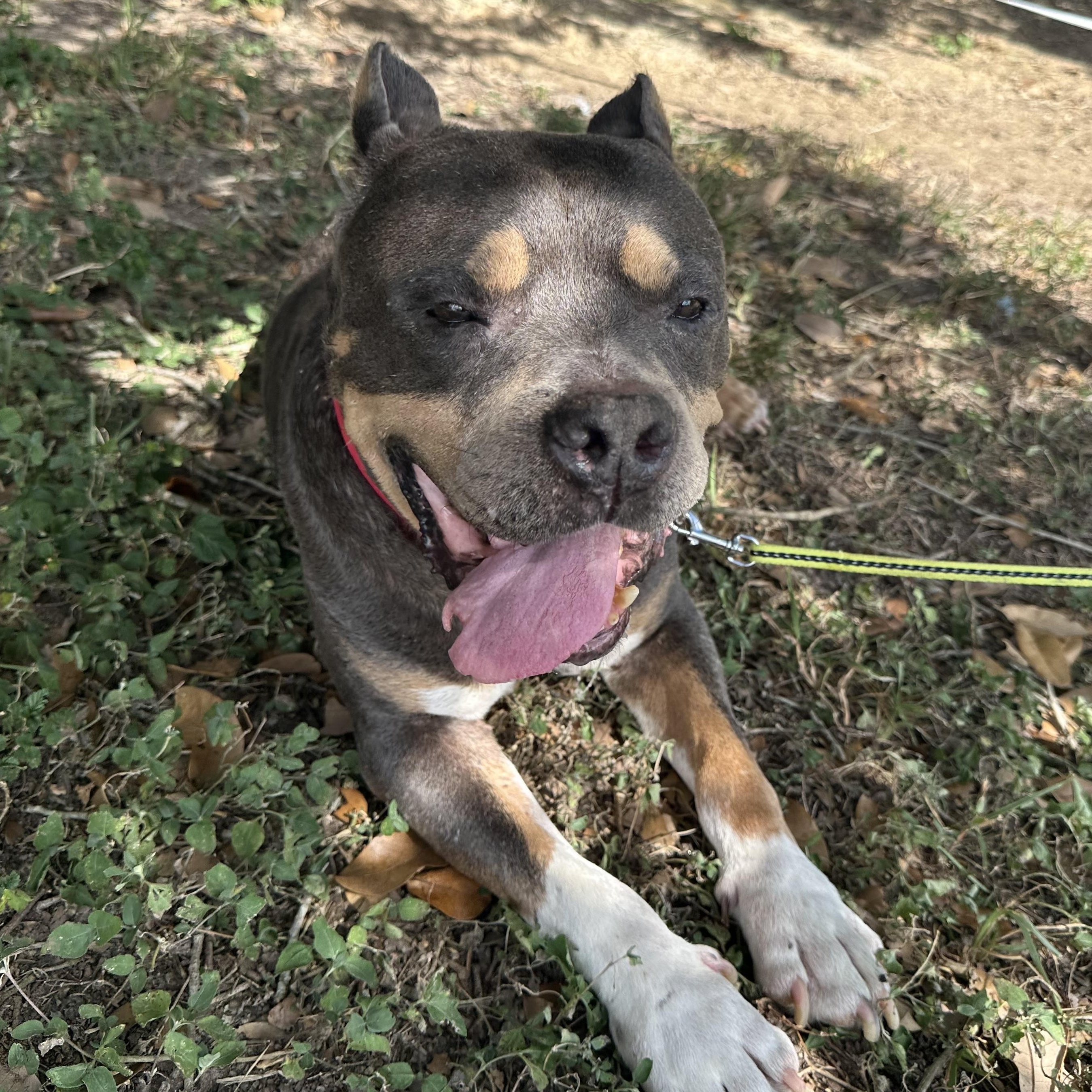 Meet Bruno Mars – Our “24K Magic” Senior Star